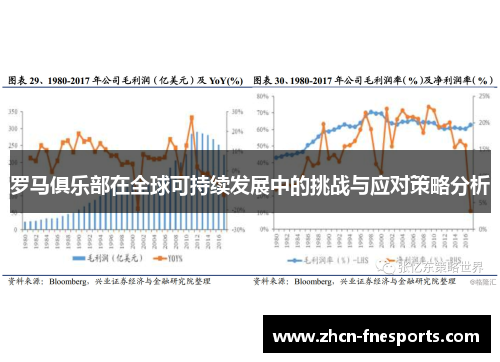 罗马俱乐部在全球可持续发展中的挑战与应对策略分析