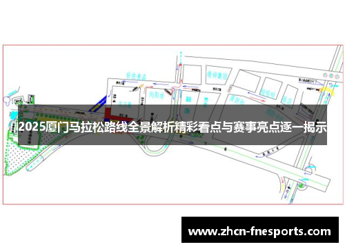 2025厦门马拉松路线全景解析精彩看点与赛事亮点逐一揭示